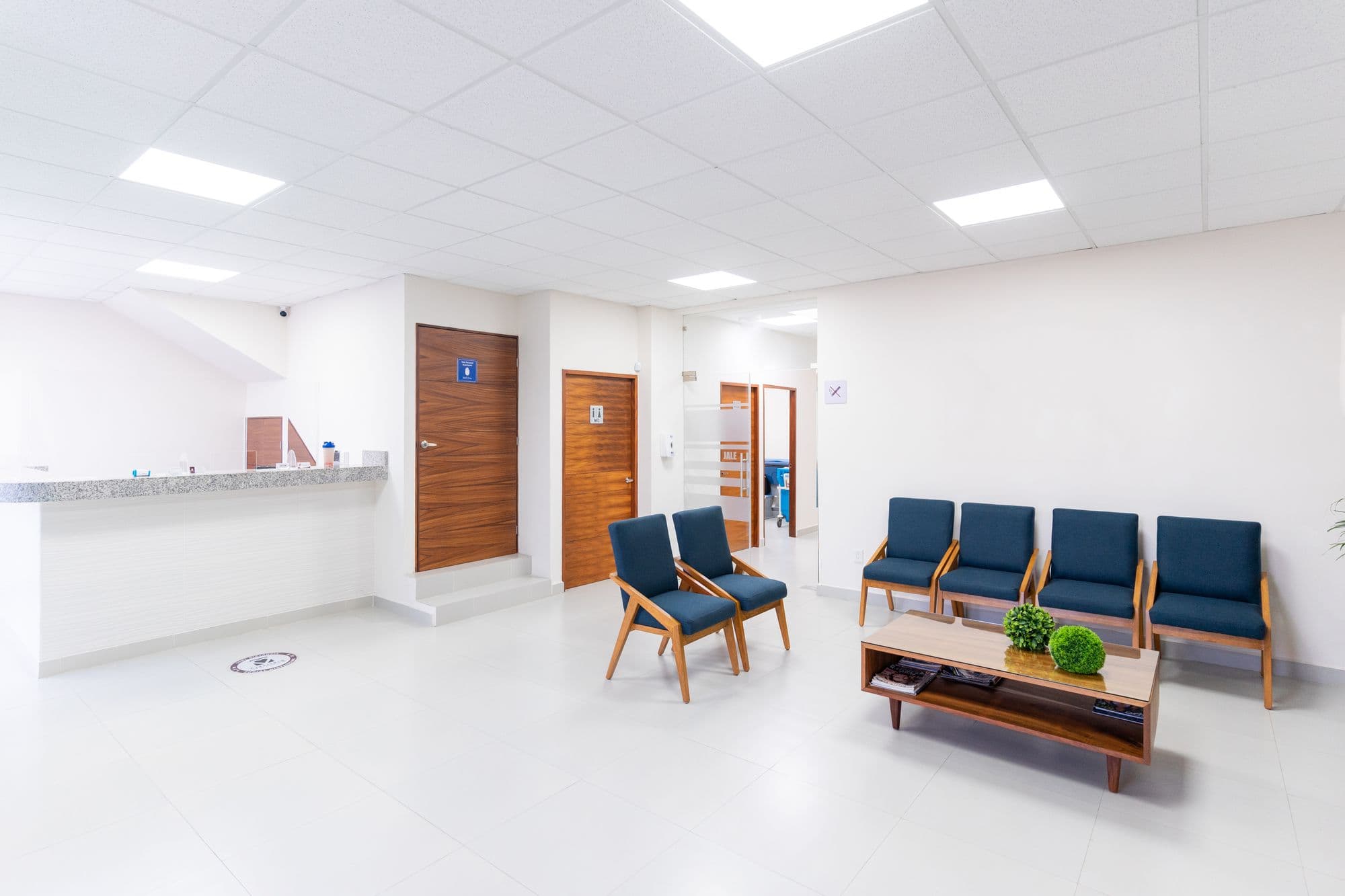 Sala de espera de clínica con butacas y plantas sobre la mesa de centro