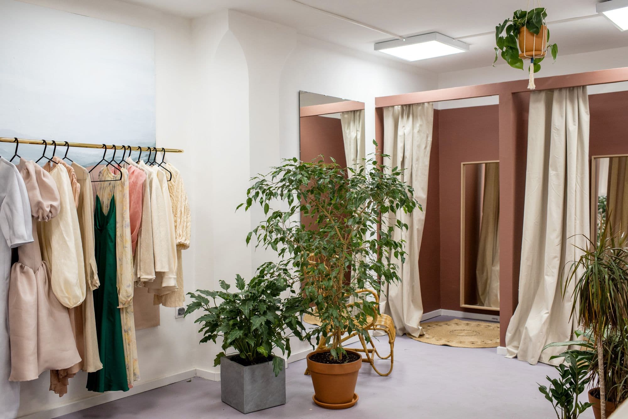 Tienda de ropa con ficus, drácena y potus colgante junto a los probadores