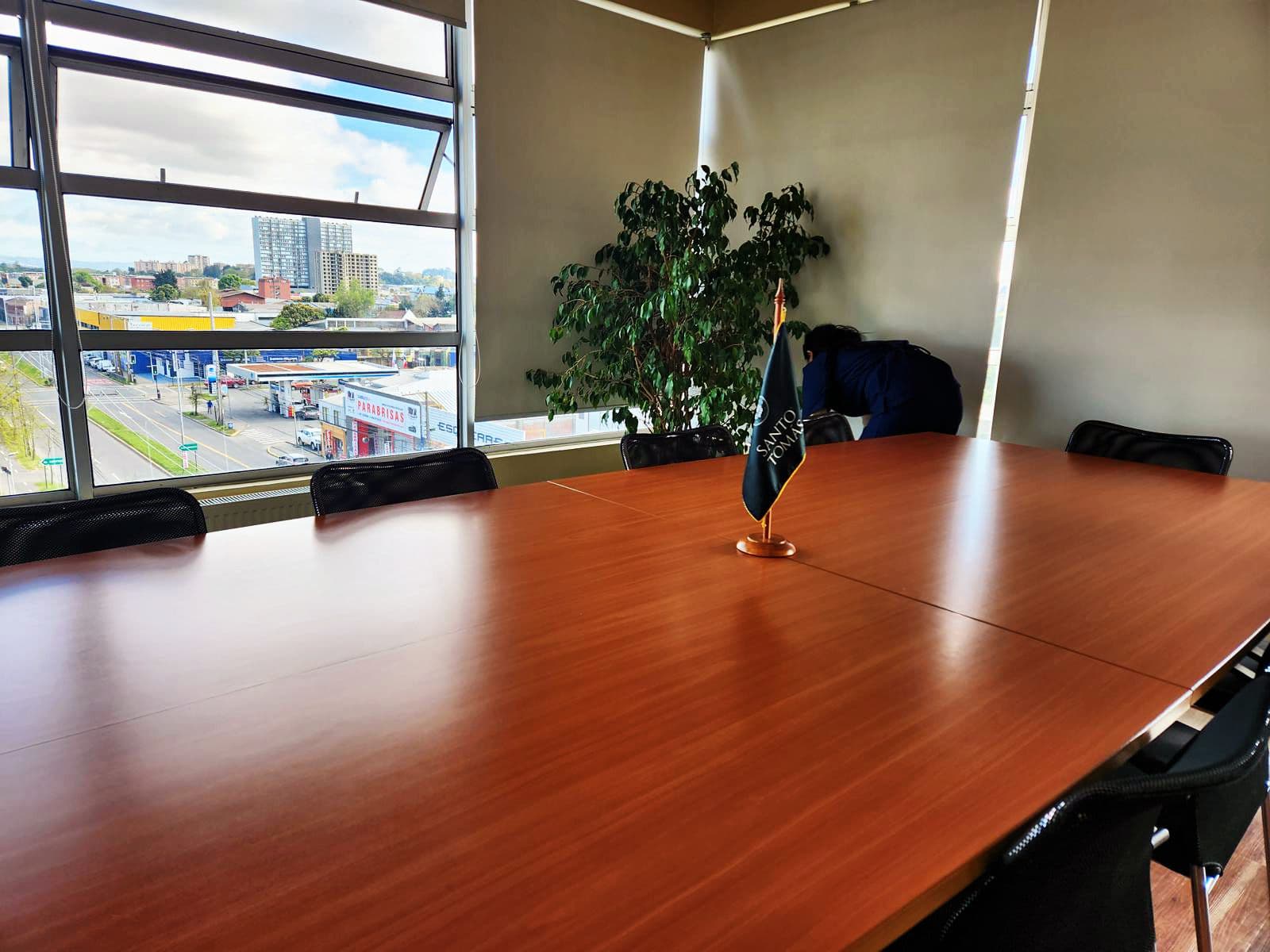 Sala de reunión con un ficus en la esquina, junto al ventanal