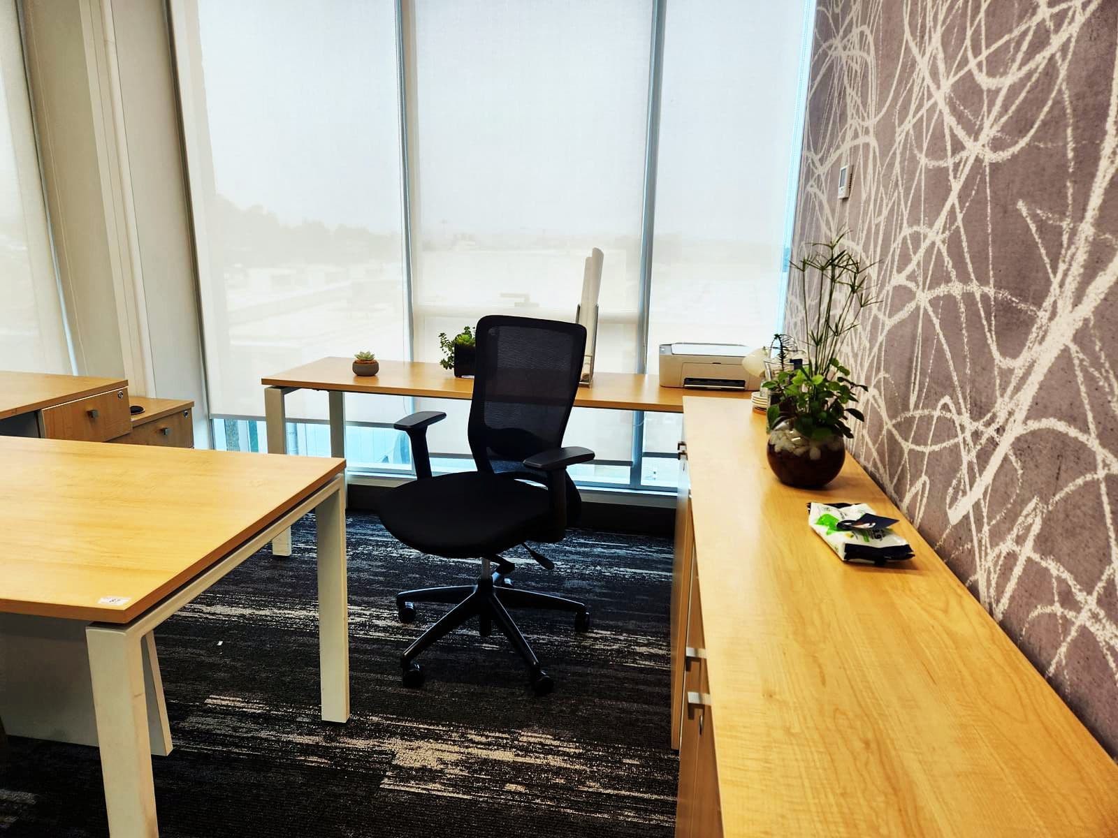 Puesto de trabajo con plantas de interior sobre el mueble y el escritorio