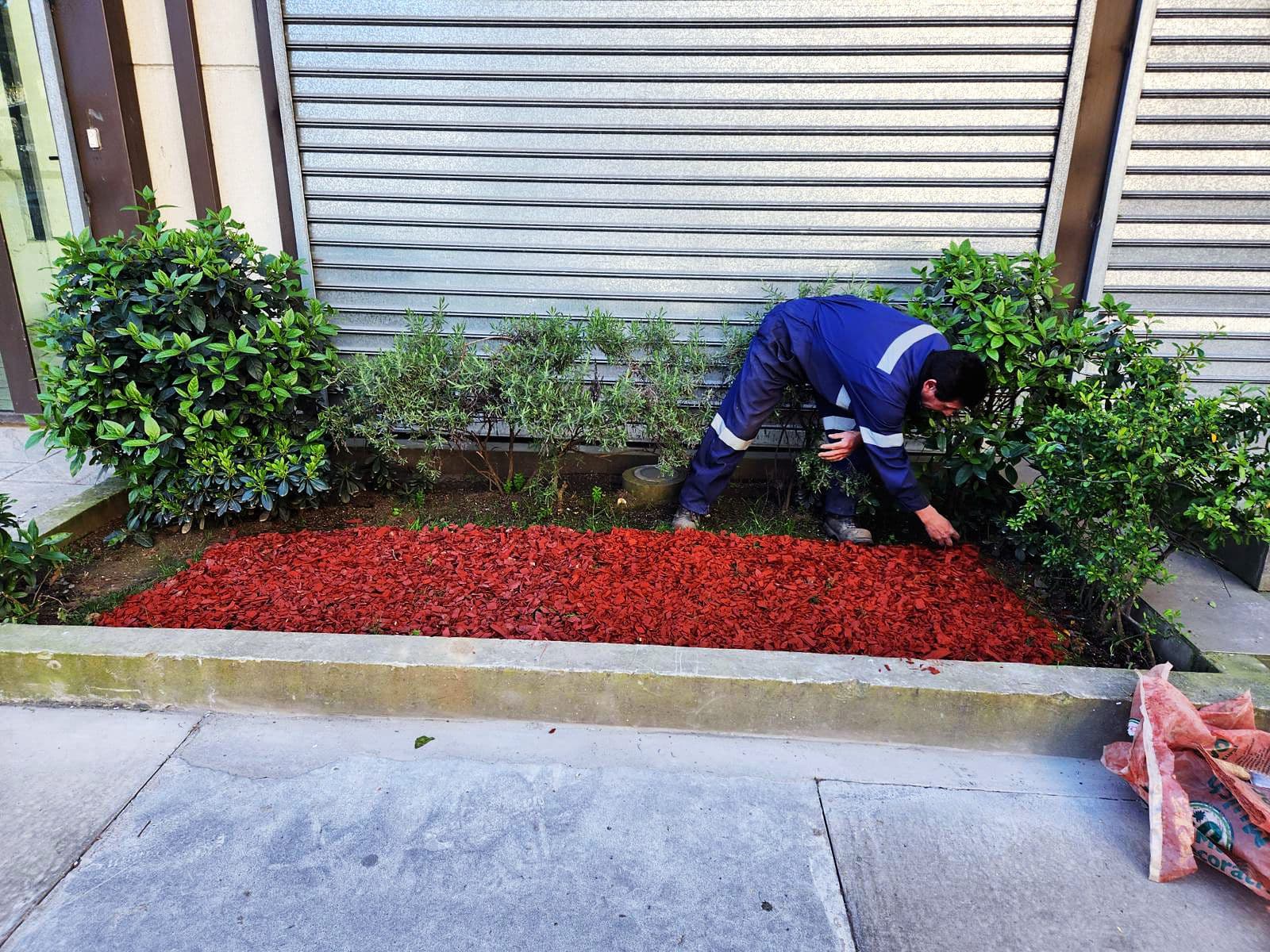 Operario de Decoplant trabajando en un jardín exterior con cubresuelo de corteza